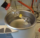 Organische Chemie